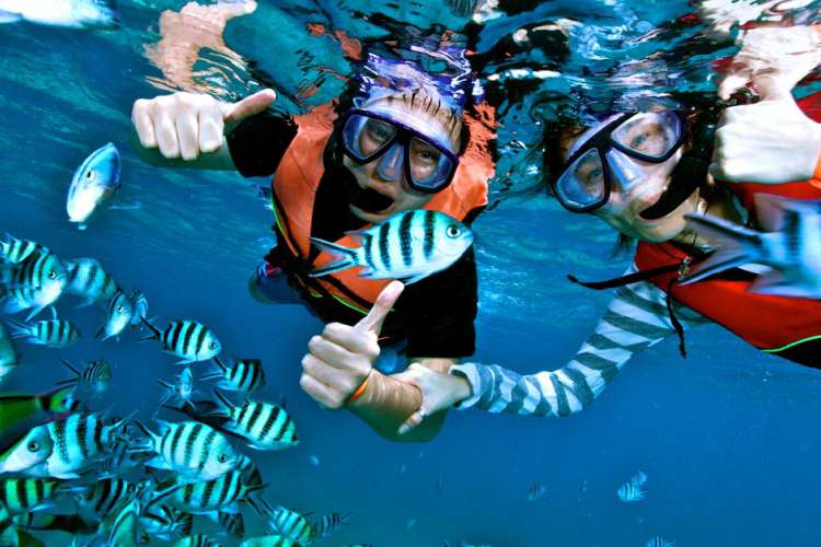 Snorkeling & Kayaking at Ixtapa Island Mexico | Pacific Tours Ixtapa. Come and enjoy two activities at the well know snorkel place in Ixtapa, Ixtapa Island, snorkel and kayak 2 activities you must do while visiting Ixtapa Zihuatanejo. Tours in Ixtapa Zihuatanejo