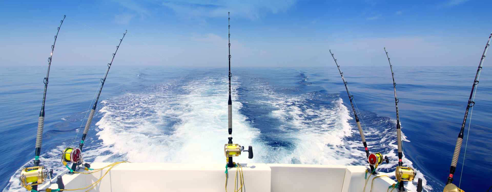 Sportfishing Tour in Ixtapa Zihuatanejo Mexico | Pacific Tours Ixtapa. Offshore and Inshore Fishing is where these fishing charters can take you to. All of our fishing boats depart from Zihuatanejo Main Dock. Ixtapa Sport fishing Boats has a excellent captains and the most reasonable prices for you to enjoy fishing with your family