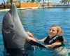 Actividades en Ixtapa | Nado con Delfines