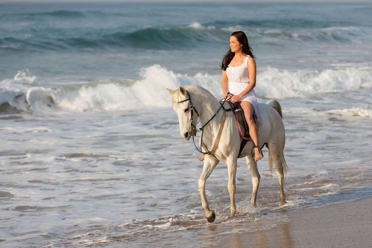 Zihuatanejo Horseback Riding & Snorkeling | Pacific Tours Ixtapa. Come and enjoy two activities in one day, Horseback Riding in Playa Larga near of Ixtapa Zihuatanejo and Snorkeling at las Gatas Beach in Zihuatanejo Mexico. Tours in Ixtapa Zihuatanejo Mexico