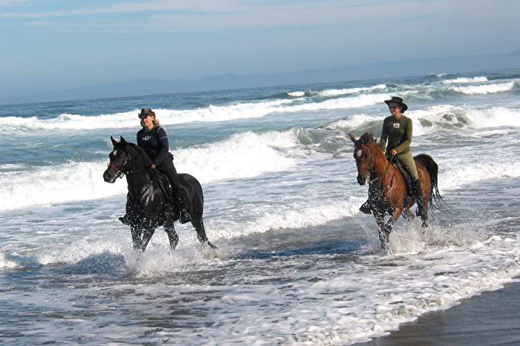 Zihuatanejo Horseback Riding & Snorkeling | Pacific Tours Ixtapa. Come and enjoy two activities in one day, Horseback Riding in Playa Larga near of Ixtapa Zihuatanejo and Snorkeling at las Gatas Beach in Zihuatanejo Mexico. Tours in Ixtapa Zihuatanejo Mexico
