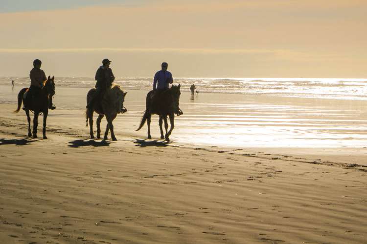 Zihuatanejo Horseback Riding & Snorkeling | Pacific Tours Ixtapa. Come and enjoy two activities in one day, Horseback Riding in Playa Larga near of Ixtapa Zihuatanejo and Snorkeling at las Gatas Beach in Zihuatanejo Mexico. Tours in Ixtapa Zihuatanejo Mexico