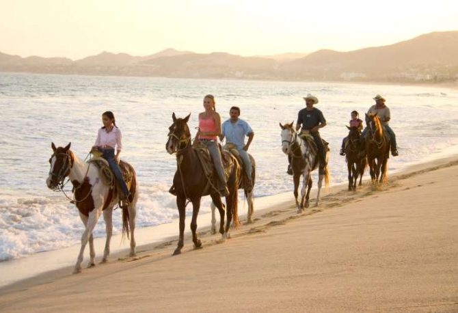 Zihuatanejo Horseback Riding at Playa Larga | Pacific Tours Ixtapa. Join us for this horse riding adventure along the magnificent Playa Larga Beach just 25 Minutes away from Ixtapa Zihuatanejo, enjoy the breeze of the ocean while riding these trained horses along the beach. Tours in Ixtapa Zihuatanejo Mexico