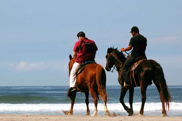 Zihuatanejo Horseback Riding at Playa Larga | Pacific Tours Ixtapa. Join us for this horse riding adventure along the magnificent Playa Larga Beach just 25 Minutes away from Ixtapa Zihuatanejo, enjoy the breeze of the ocean while riding these trained horses along the beach. Tours in Ixtapa Zihuatanejo Mexico