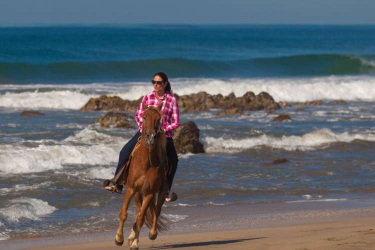 Zihuatanejo Horseback Riding at Playa Larga | Pacific Tours Ixtapa. Join us for this horse riding adventure along the magnificent Playa Larga Beach just 25 Minutes away from Ixtapa Zihuatanejo, enjoy the breeze of the ocean while riding these trained horses along the beach. Tours in Ixtapa Zihuatanejo Mexico