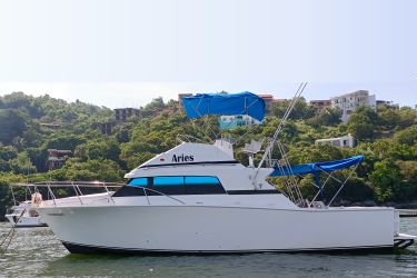 Sport Fishing Charters in Zihuatanejo | Pacific Tours Ixtapa. Offshore & Inshore Fishing is where these fishing charters can take you to. All of our fishing boats depart from Zihuatanejo Main Dock. Ixtapa is well known as one of the best places in Mexico to practice this sport due to the variety of fish that you can find in this area such as Sailfish, Marlin, Mahi-Mahi and More. Activities in Ixtapa Zihuatanejo